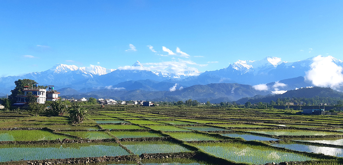 आजका तस्बिर- असार २३