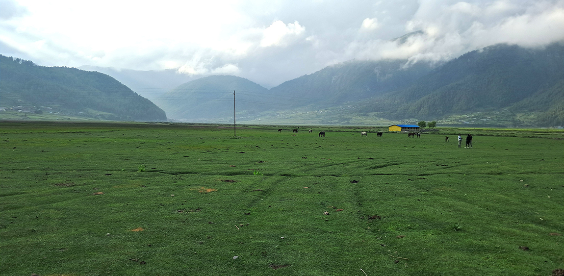 आजका तस्बिर- असार ५