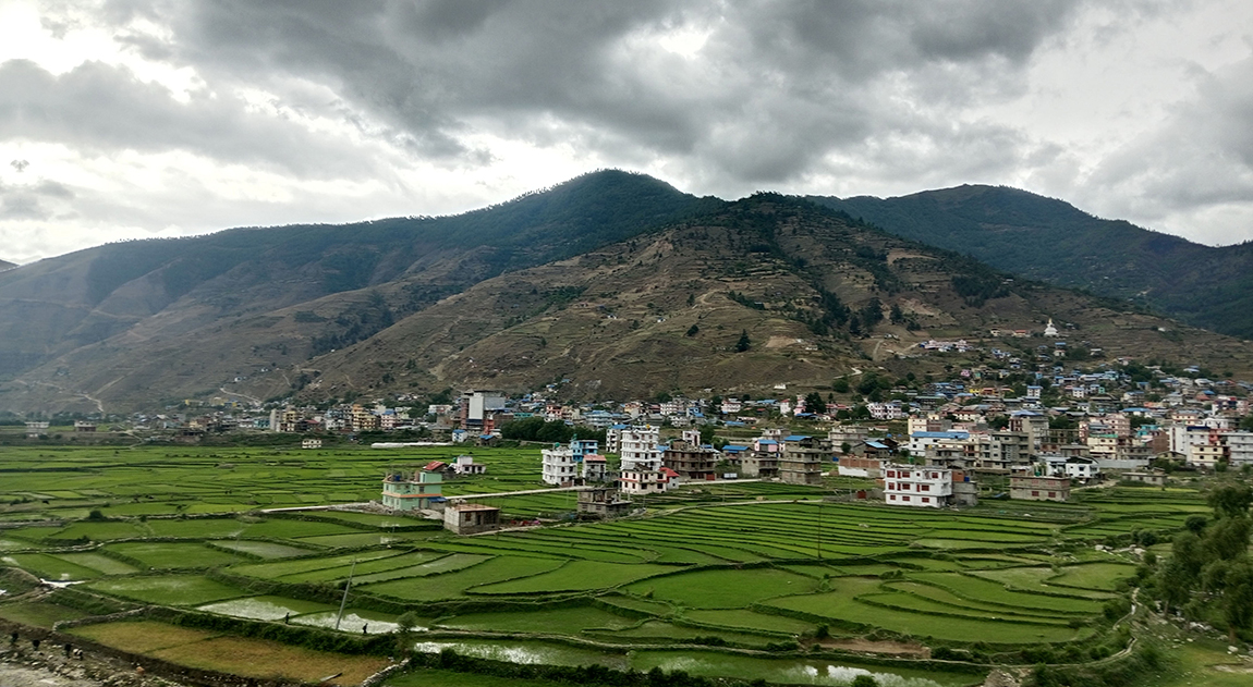 आजका तस्बिर- असार १३