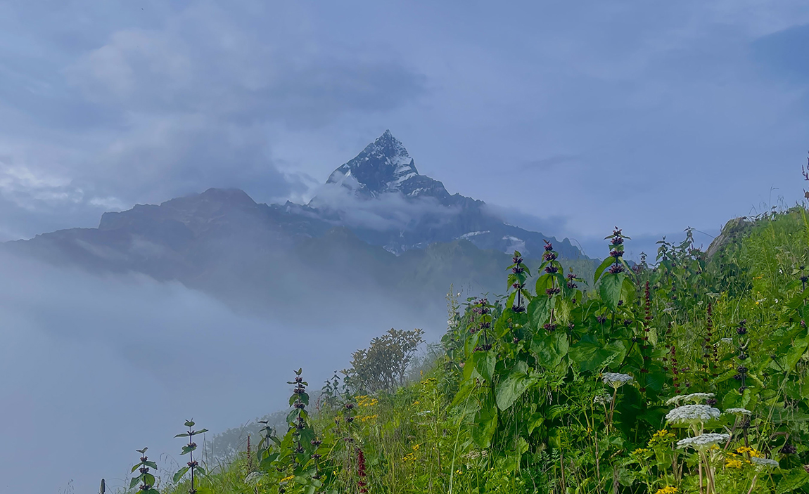 आजका तस्बिर- साउन १६