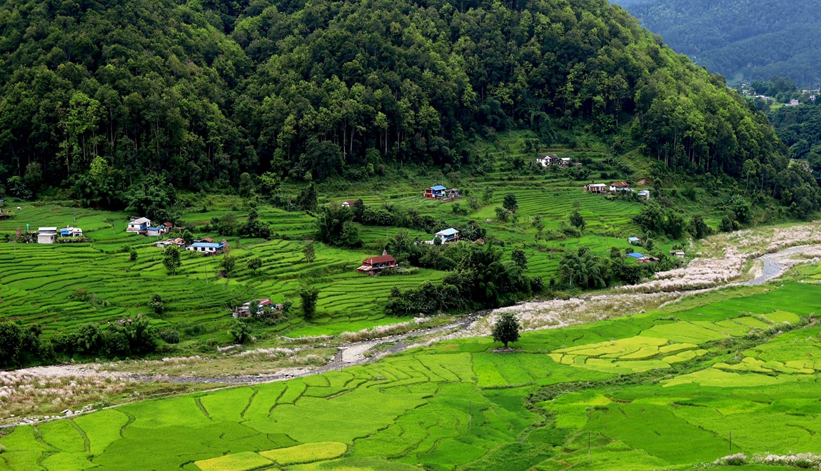 आजका तस्बिरः भदौ ३१