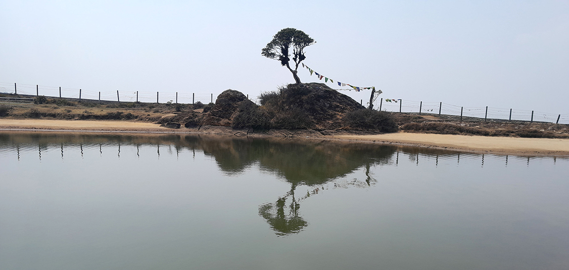 आजका तस्बिर- वैशाख ३
