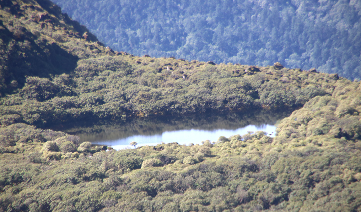 आजका तस्बिर- साउन १६
