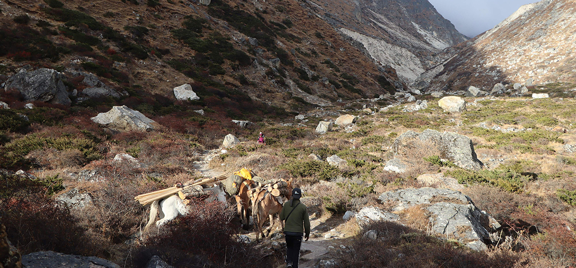 आजका तस्बिर- कात्तिक १७