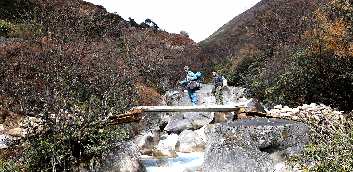 आजका तस्बिर- कात्तिक २६