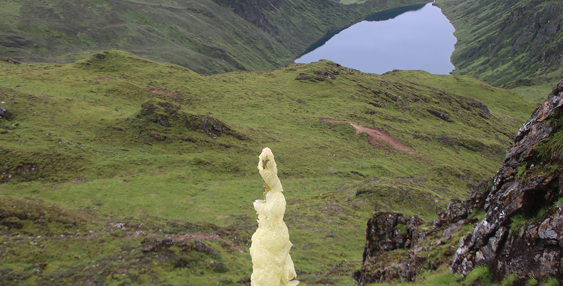 आजका तस्बिर- साउन २०