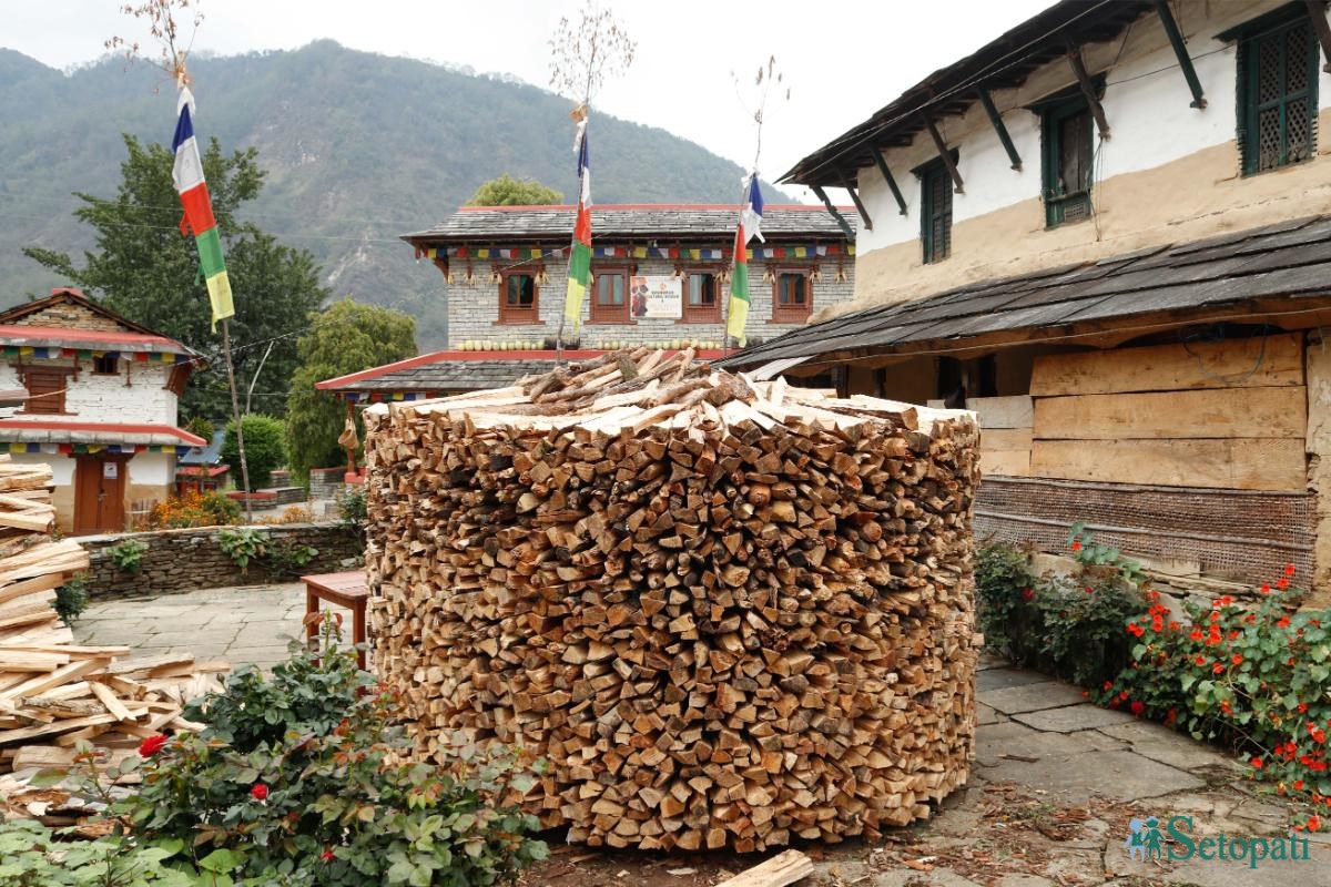 आजका तस्बिर- वैशाख १३