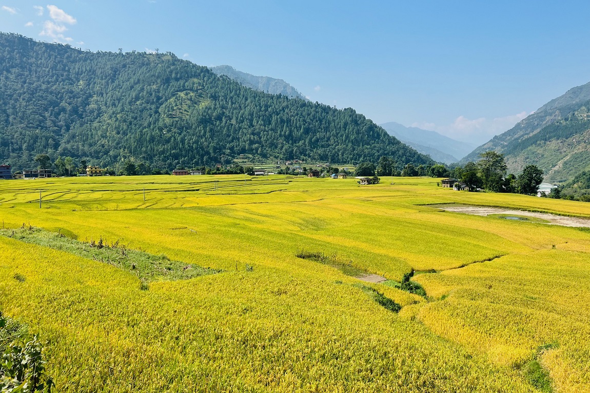 आजका तस्बिर: असोज २७