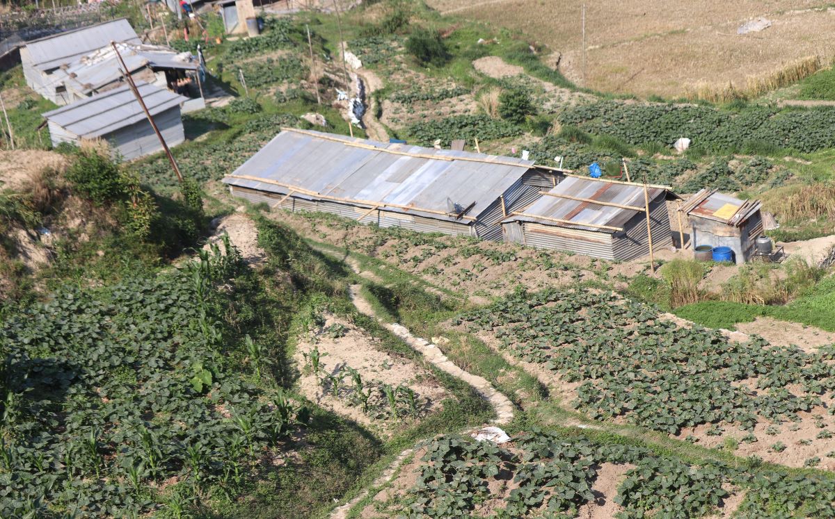 आजका तस्बिर- वैशाख १३