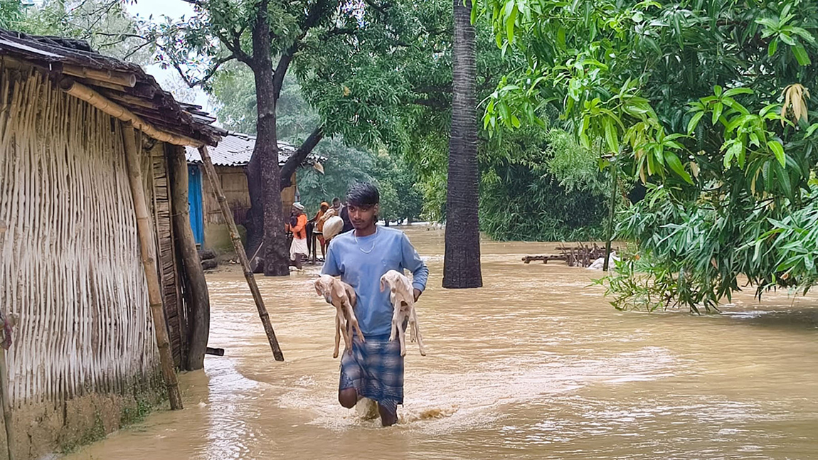 आजका तस्बिर- असोज १९