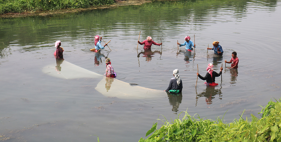 आजका तस्बिर- जेठ २९