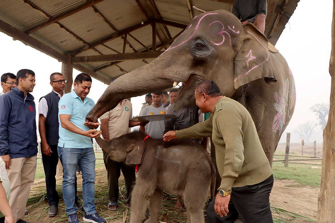 आजका तस्बिर- चैत २०