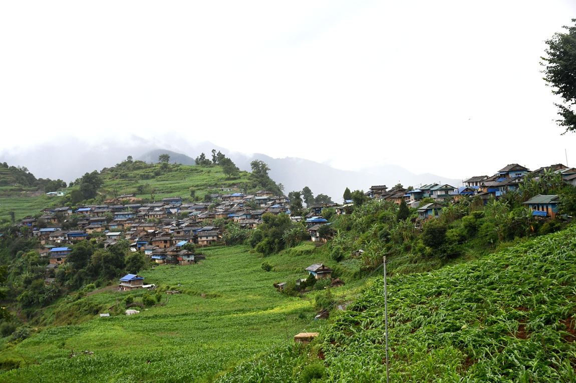 आजका तस्बिर- असार २९