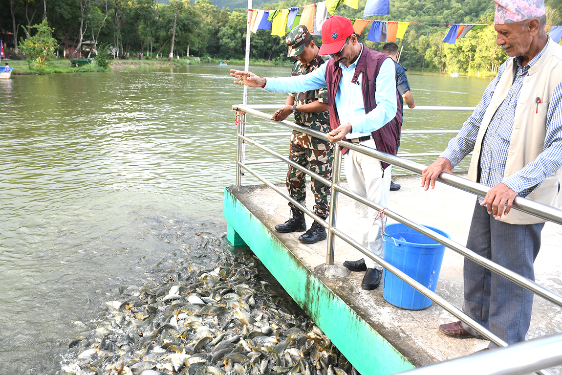 आजका तस्बिर- असोज २