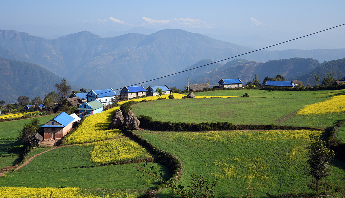 आजका तस्बिर- मंसिर १३