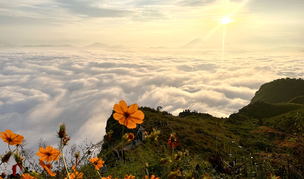 आजका तस्बिर- कात्तिक १०