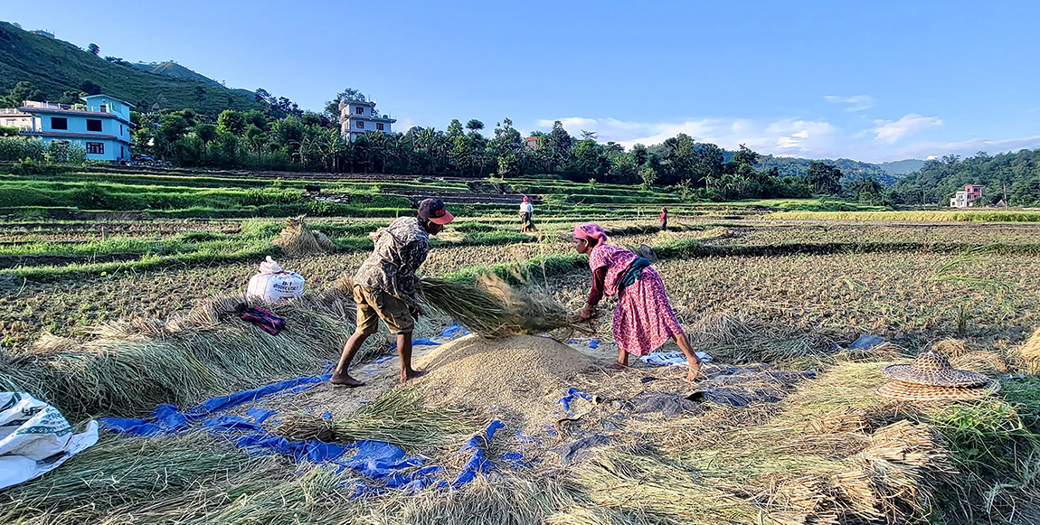आजका तस्बिर- असार १८