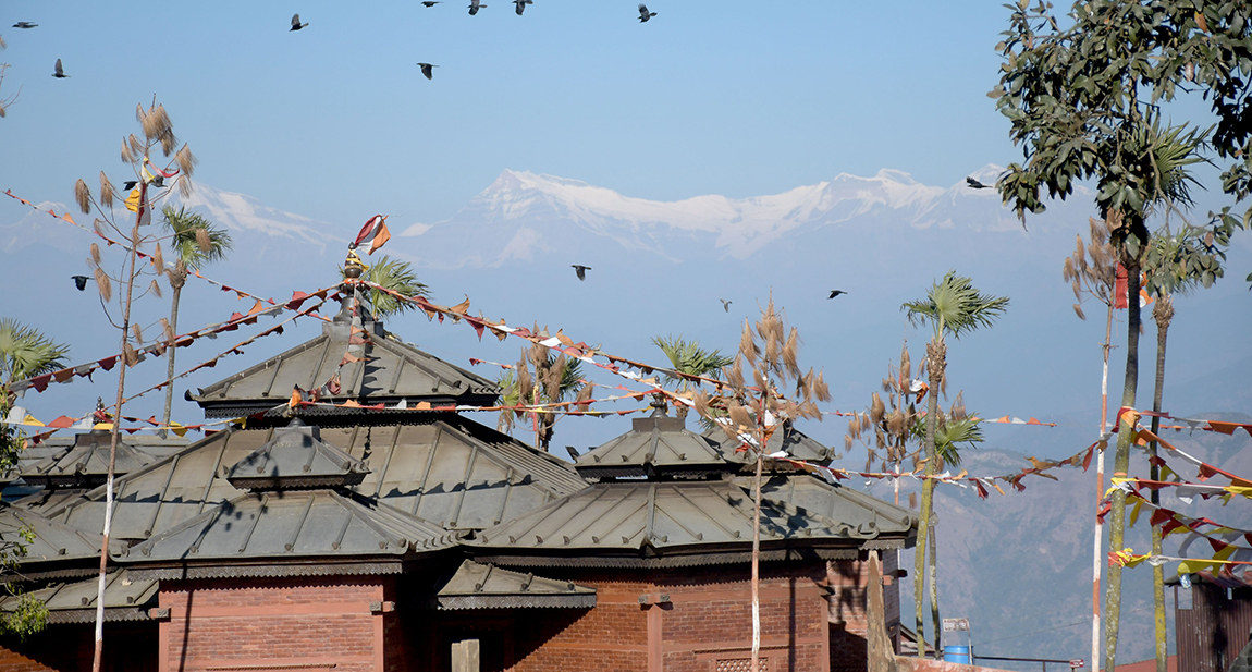 आजका तस्बिर- माघ २२