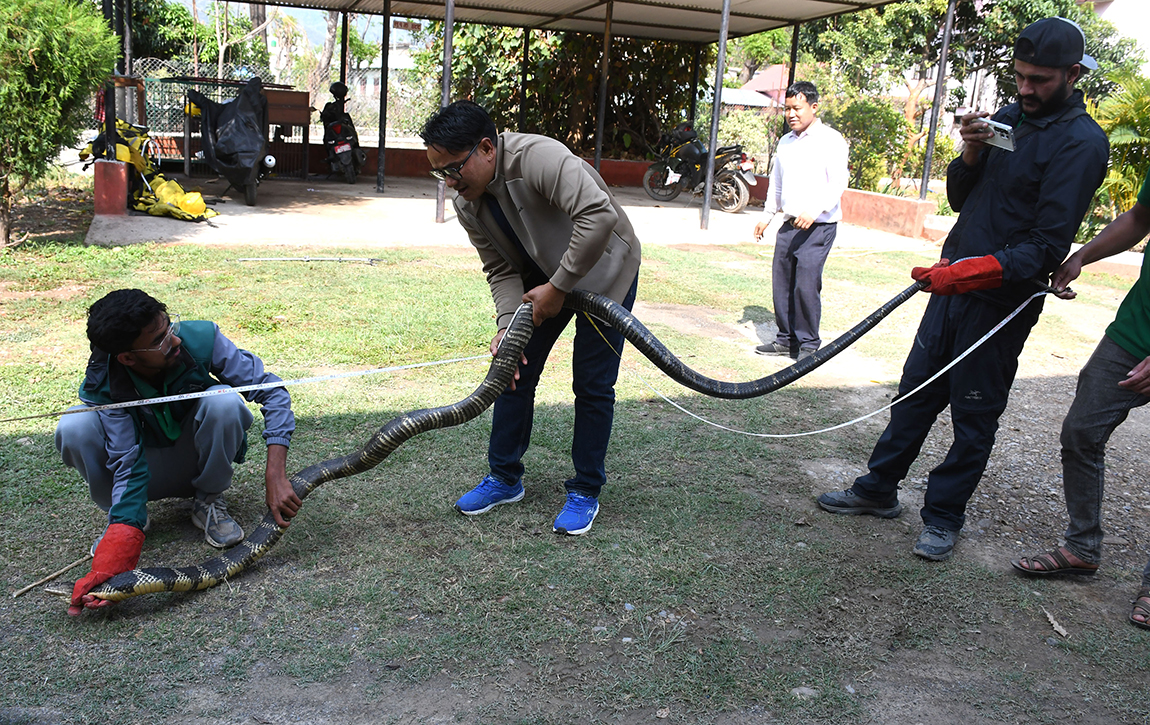 आजका तस्बिर- चैत ३०