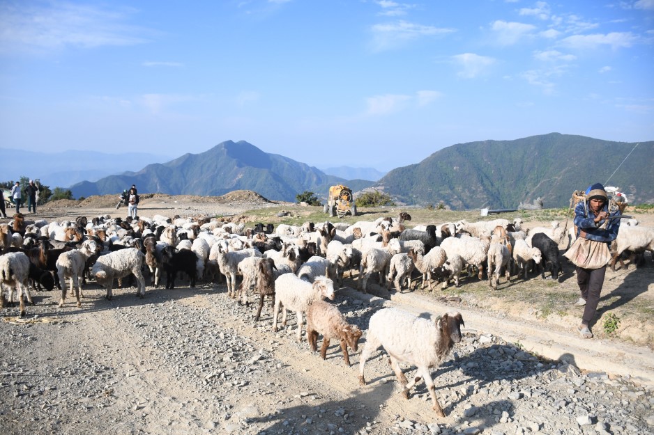 आजका तस्बिर- जेठ १