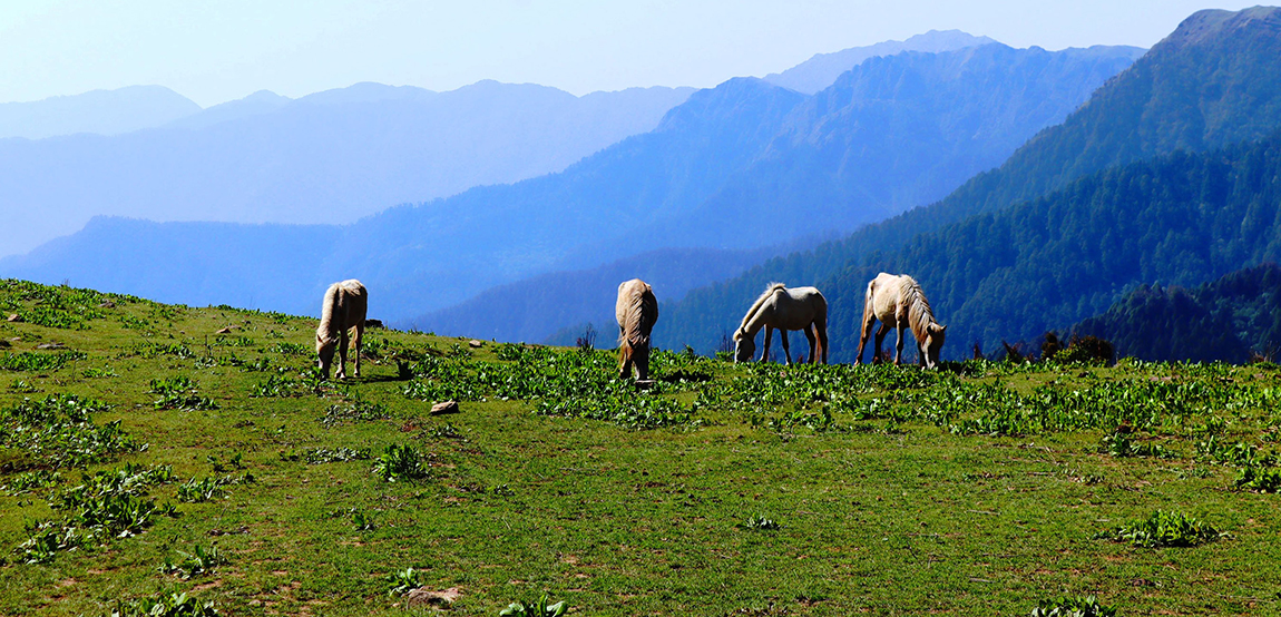 आजका तस्बिर- साउन २६