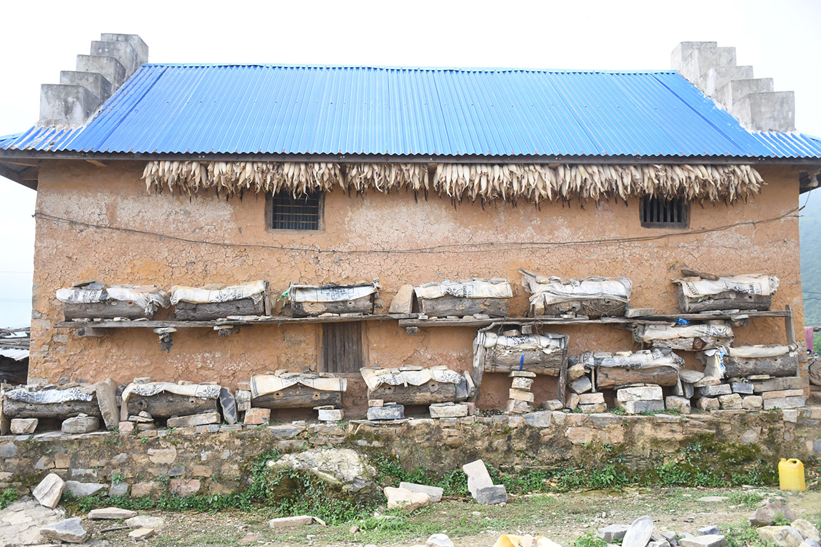 आजका तस्बिर- असोज २०