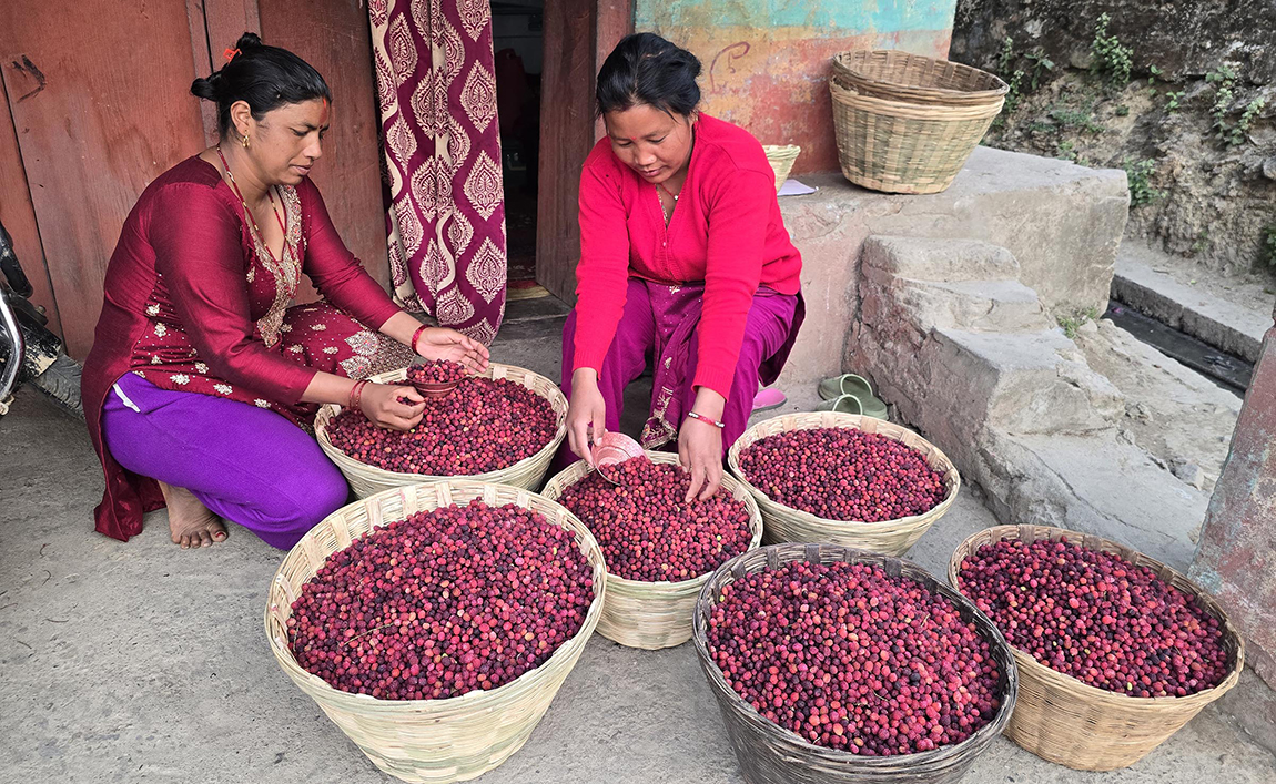 आजका तस्बिर- चैत २५
