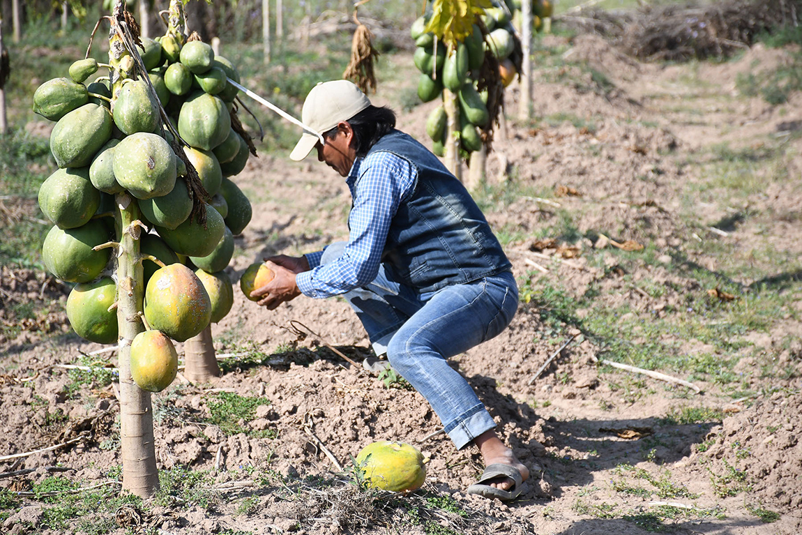 आजका तस्बिर- फागुन २६