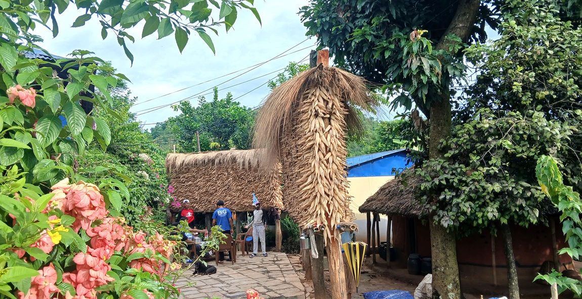 आजका तस्बिरः भदौ ३१