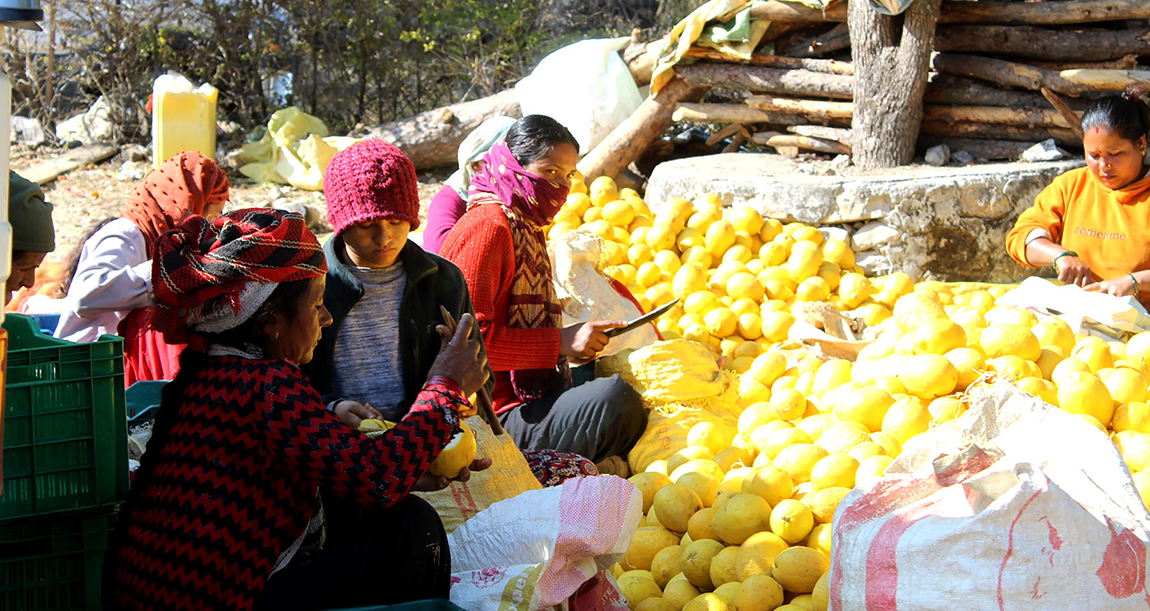 आजका तस्बिर- माघ १९