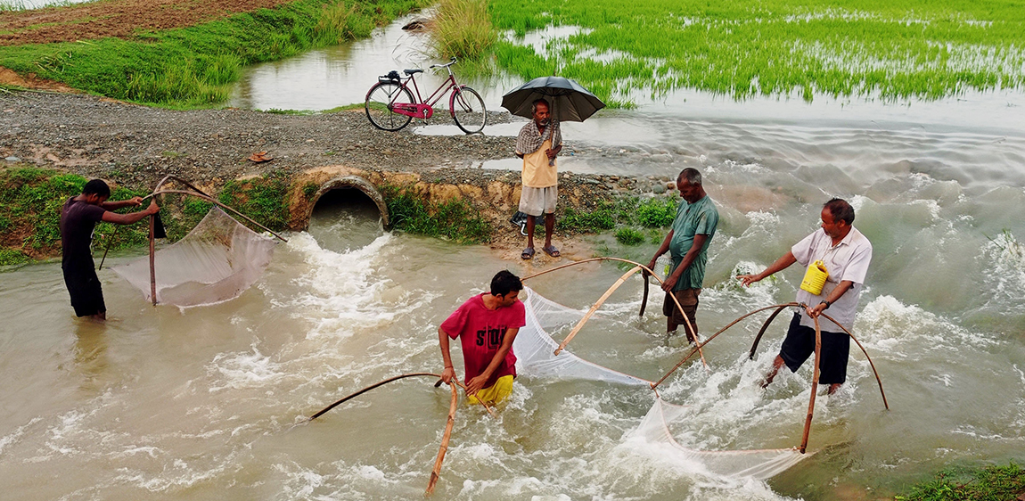 आजका तस्बिर- भदौ १३