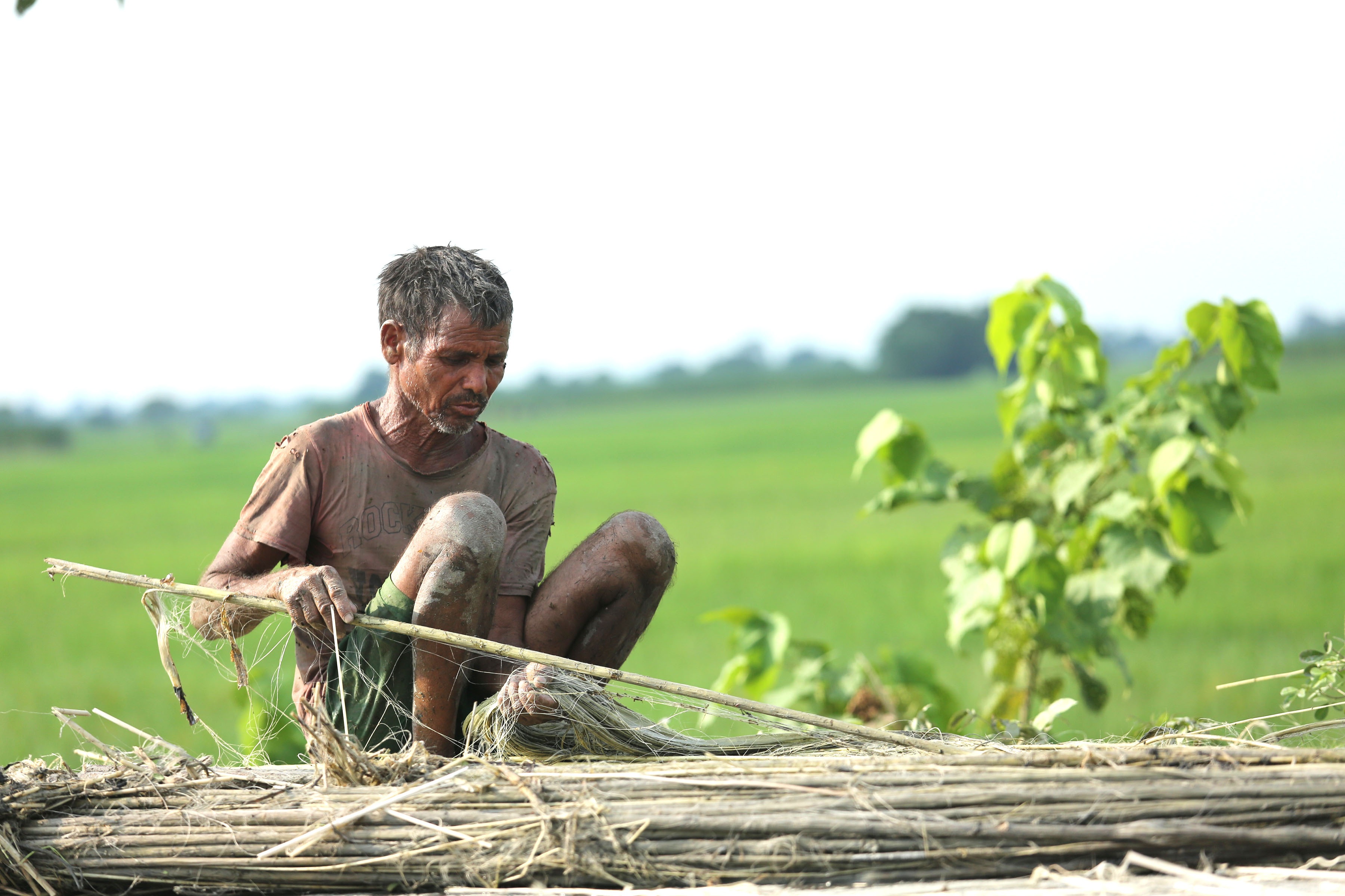 आजका तस्बिर- भदौ २२