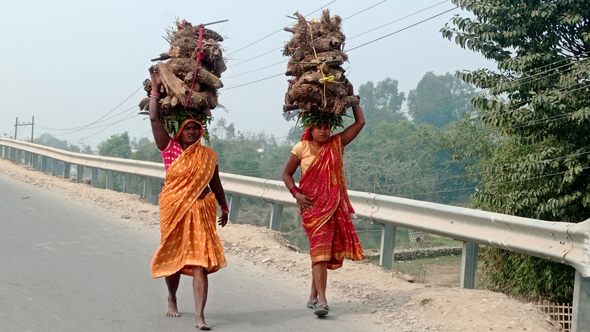 आजका तस्बिर- फागुन १