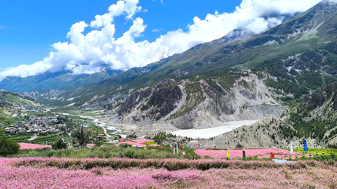 आजका तस्बिर- साउन ३१