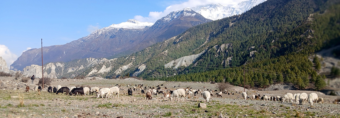 आजका तस्बिर-वैशाख १०