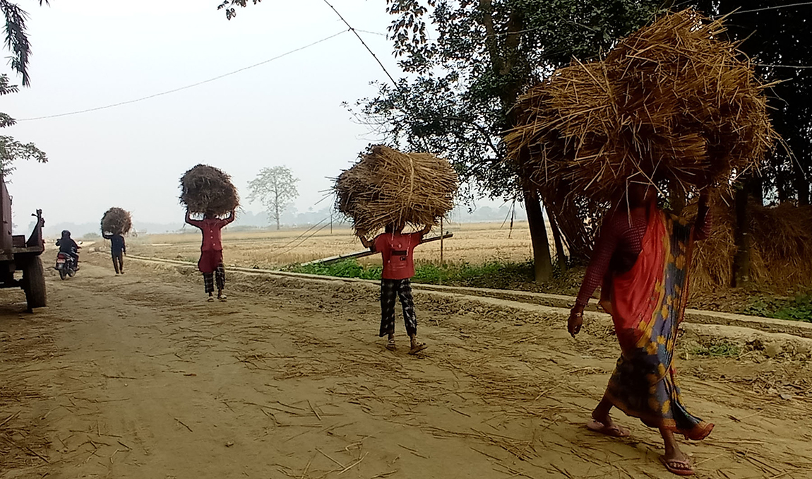 आजका तस्बिर-मंसिर २२