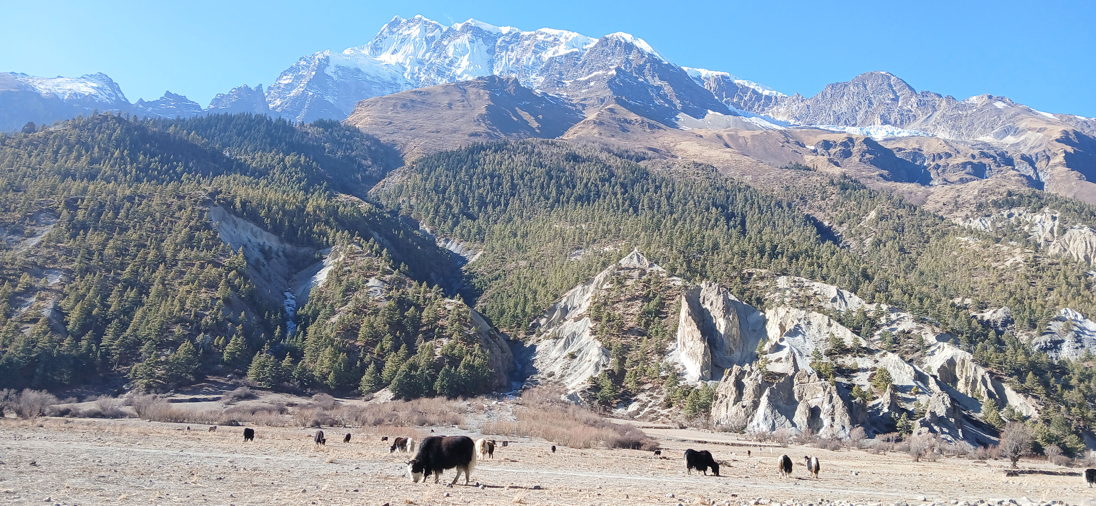 आजका तस्बिर- माघ २९