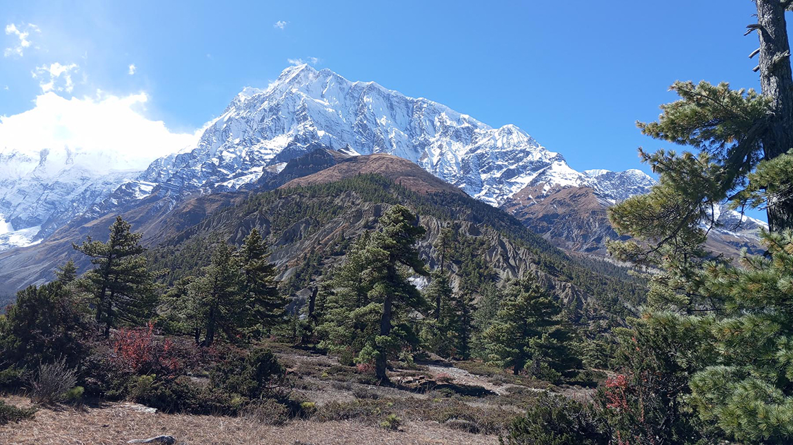 आजका तस्बिर- मंसिर ५