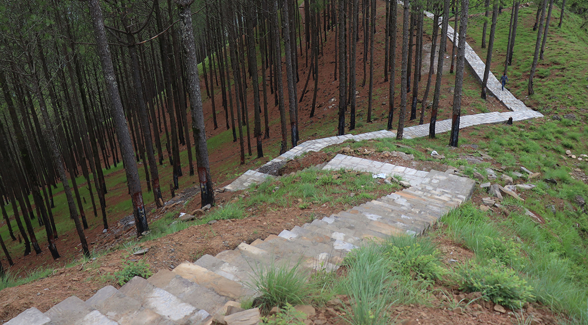 आजका तस्बिर- साउन १६