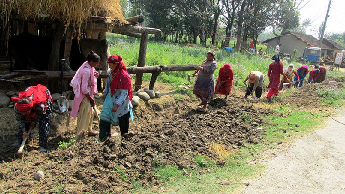 आजका तस्बिर- फागुन २८