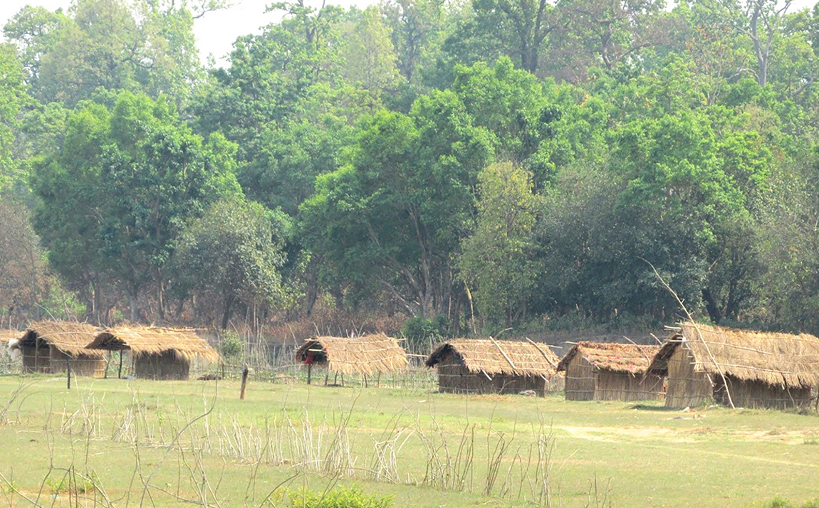 आजका तस्बिर- वैशाख १८