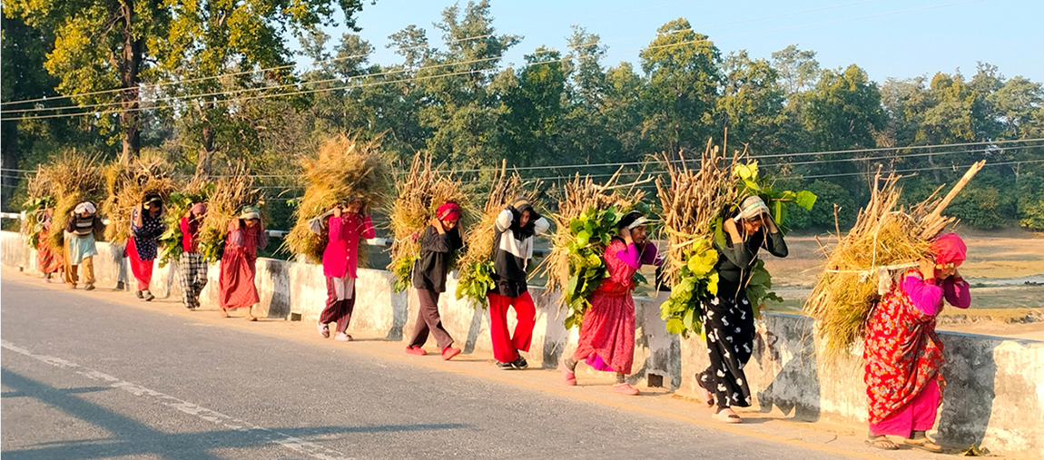 आजका तस्बिर- पुस २७