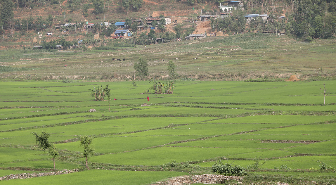 आजका तस्बिर- वैशाख ११