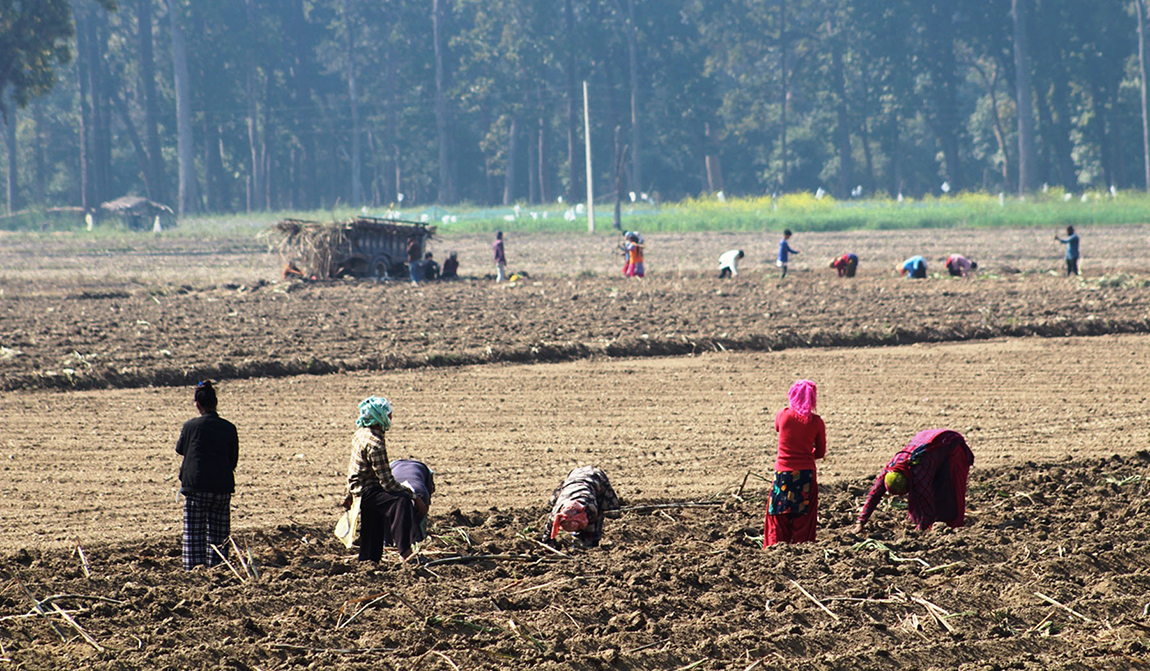 आजका तस्बिर- फागुन १०