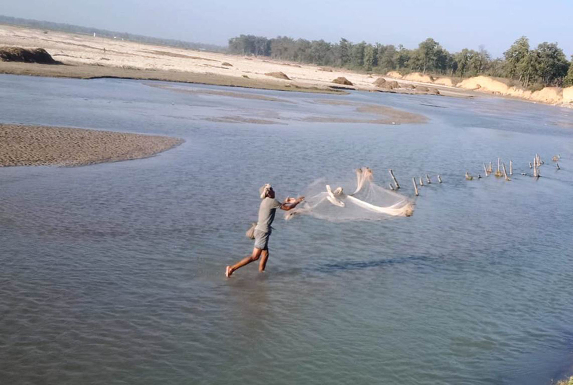 आजका तस्बिर- फागुन २६