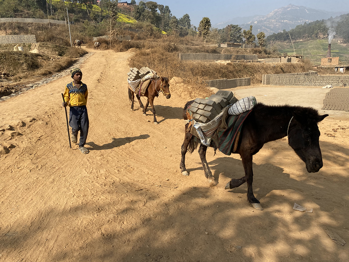 आजका तस्बिर- फागुन ९