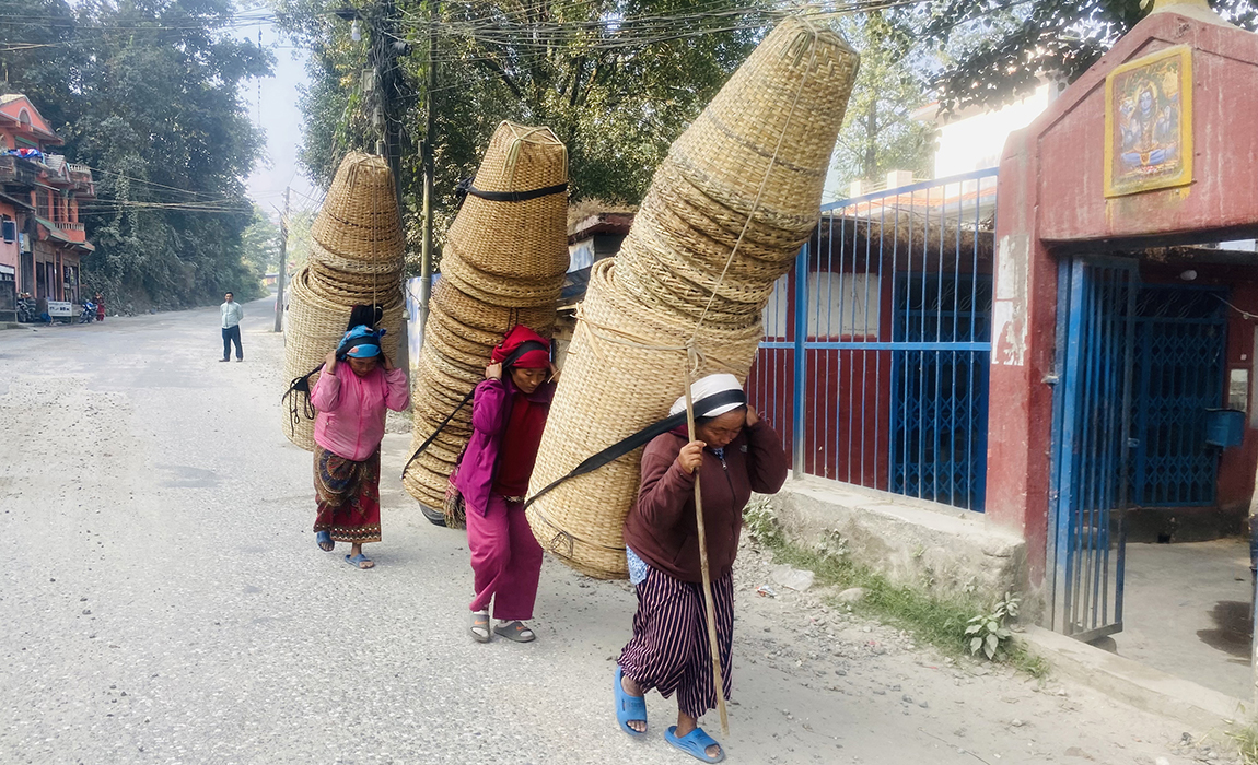 आजका तस्बिर- मंसिर १