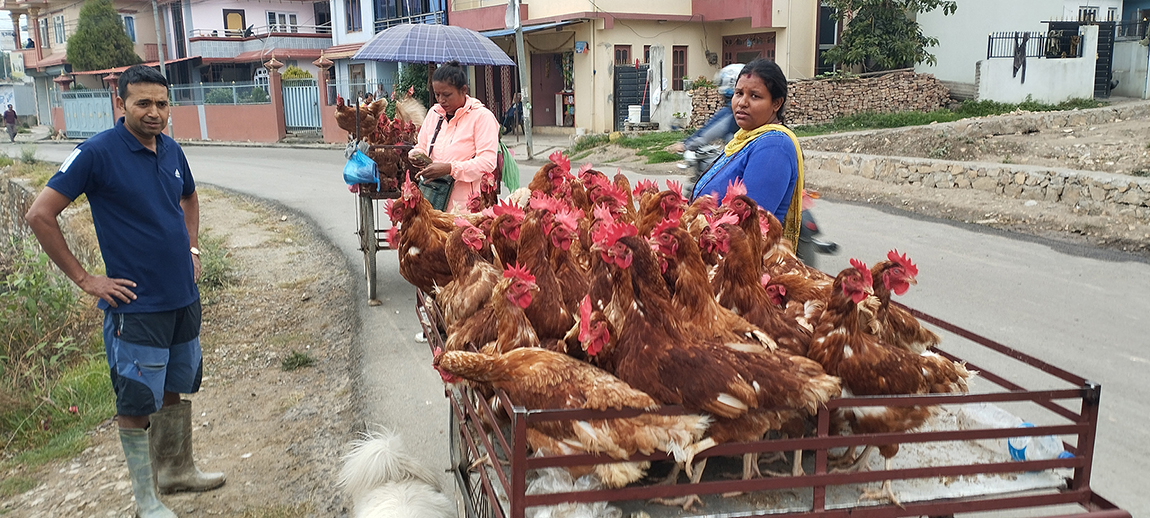 आजका तस्बिर- वैशाख २७