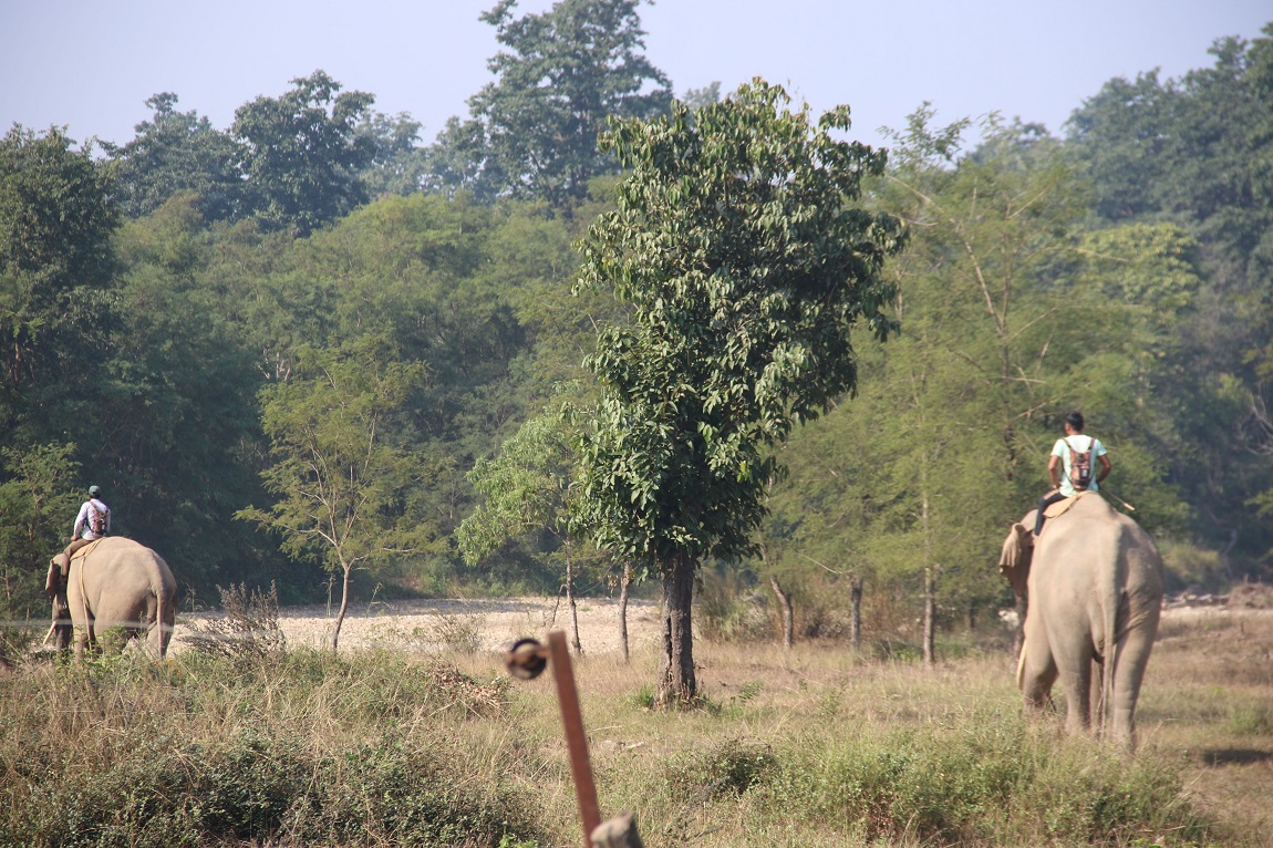 आजका तस्बिर- मंसिर ८