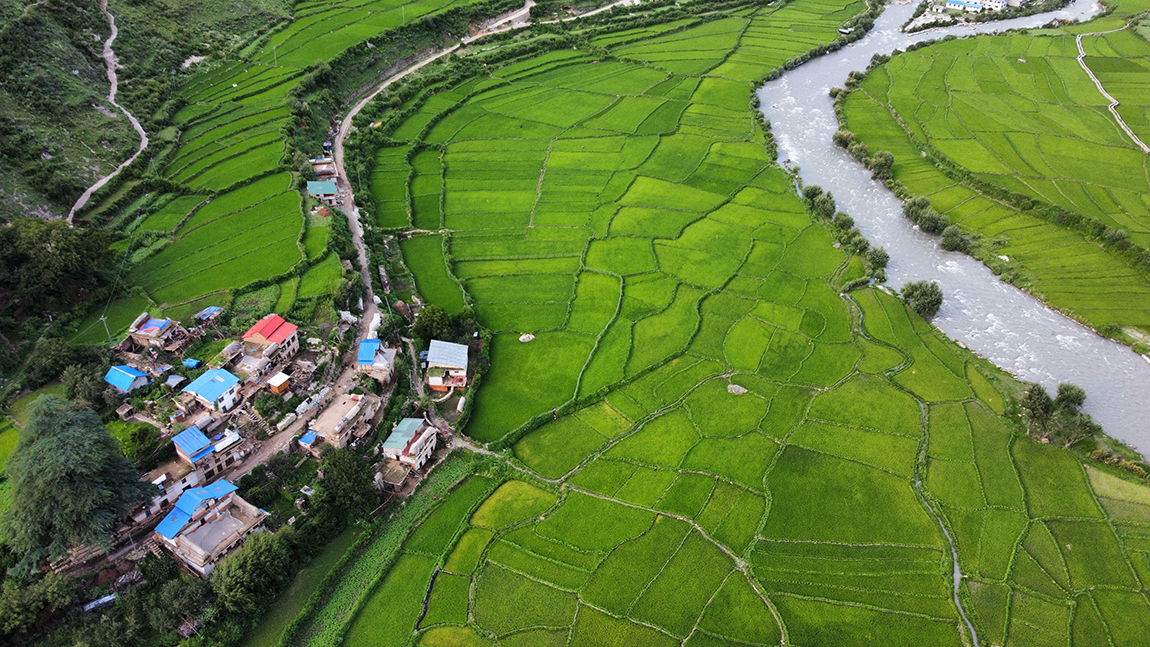 आजका तस्बिर- साउन ९